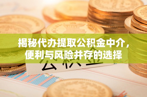 昭平揭秘代办提取公积金中介，便利与风险并存的选择