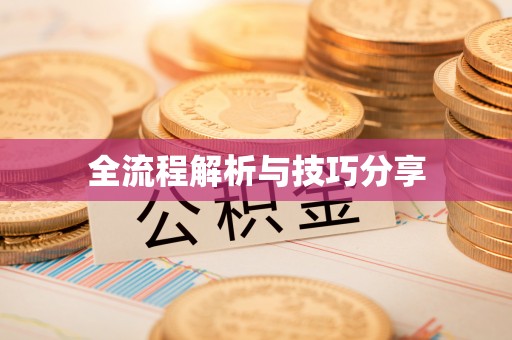 昭平全流程解析与技巧分享
